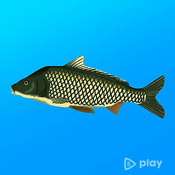 Реальная Рыбалка v1.19.2.923 ВЗЛОМ MOD